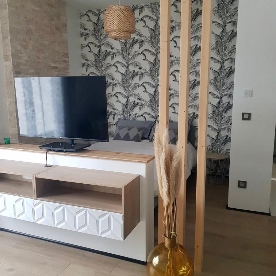 Studio Calme-Equipements Haut De Gamme Sarreguemines Ngoại thất bức ảnh